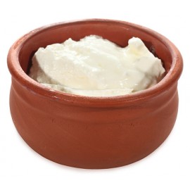 Curd (Yogurt) Dahi 印度生鮮優酪 400 CC