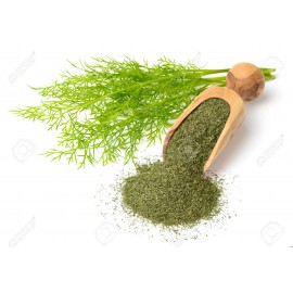 Dill Weed  蒔蘿草 50 gm