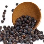 Juniper Berry 杜松子 50 gm